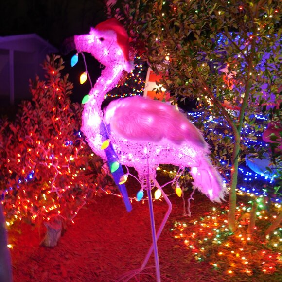 5 ft Flamingo Acrylic LED Christmas Light Yard Sculpture Tropical Beach Sea Life - Picture 7 of 10
